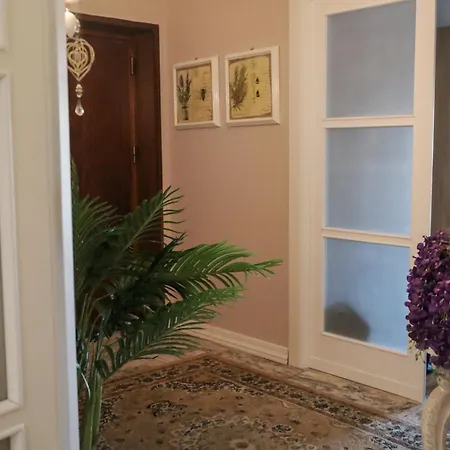 Apartment Accademia